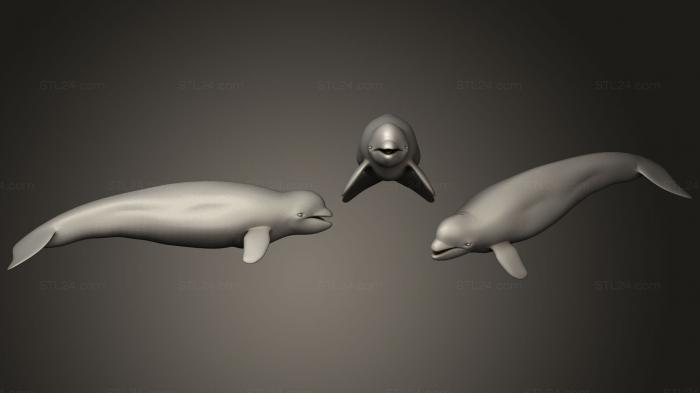 Статуэтки животных (Белуха, STKJ_1654) 3D модель для ЧПУ станка